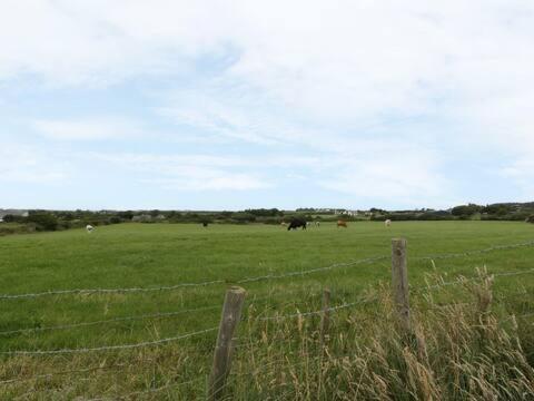 Ty Rhos, Farm Stay, Sleeps 4, Rhoshirwaun 2 Miles From أبيرداريون المظهر الخارجي الصورة