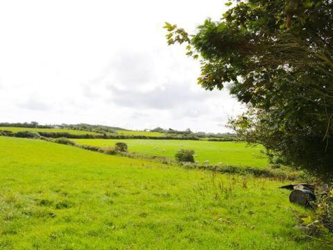 Ty Rhos, Farm Stay, Sleeps 4, Rhoshirwaun 2 Miles From أبيرداريون المظهر الخارجي الصورة